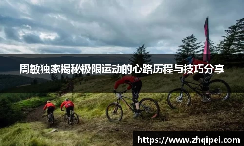 XK体育